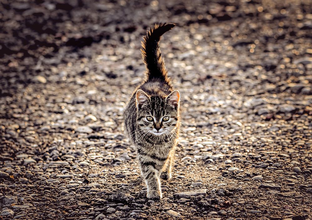 Photograph by Юлия Ковальчук