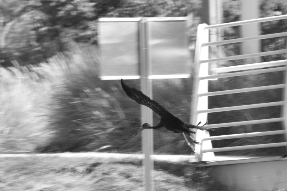 Photograph by Federico Fassardi