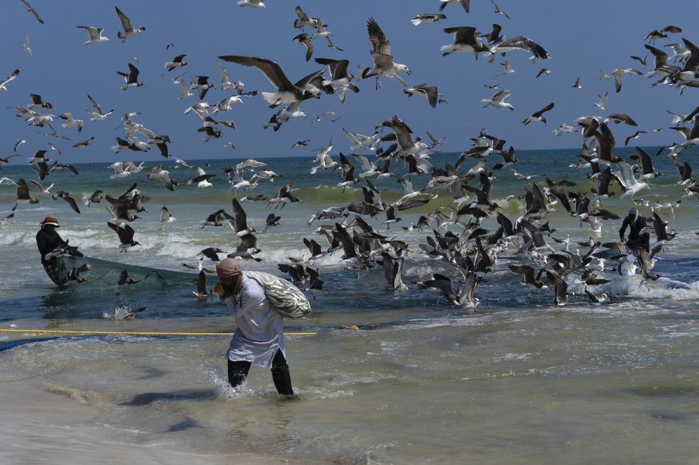 Photograph by Anahita