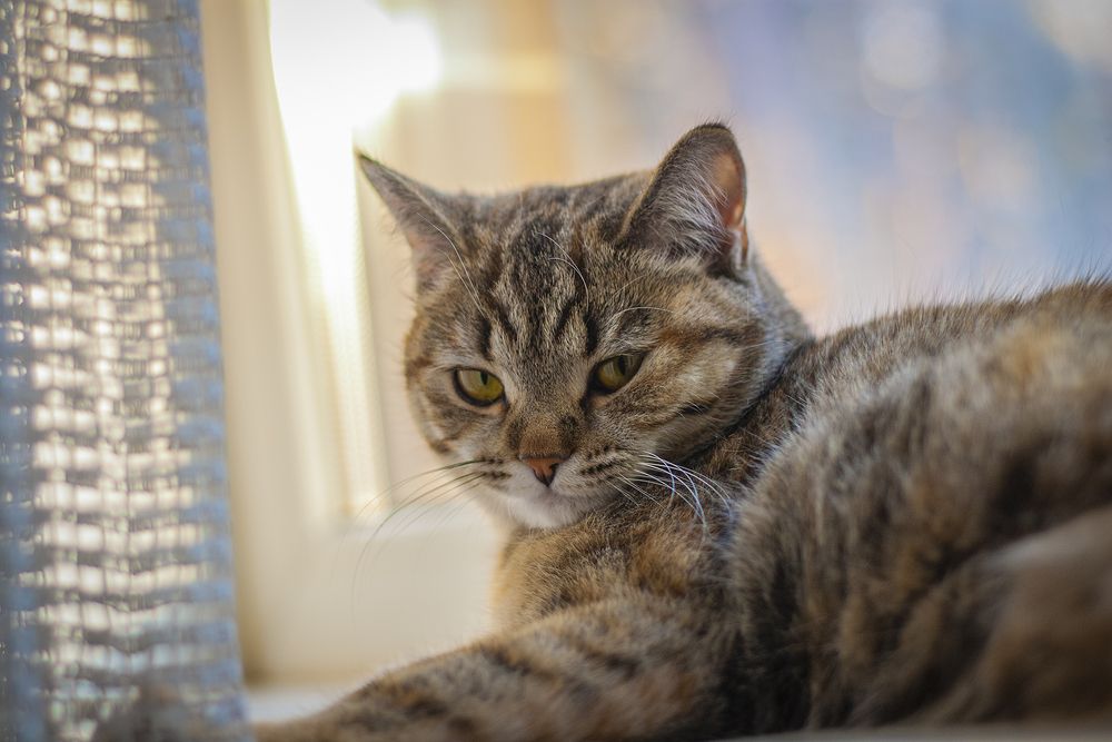 Photograph by Денис Сидоров