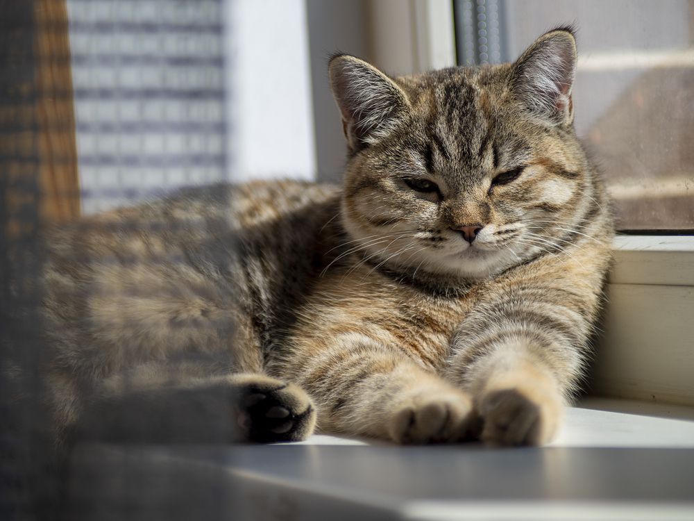 Photograph by Денис Сидоров