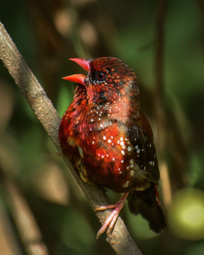 Photograph by Abhishek Yadav