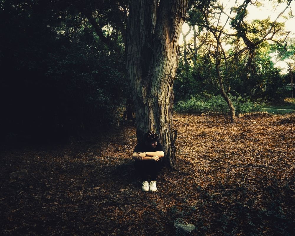 Фотография автора Mahmoud Asaad