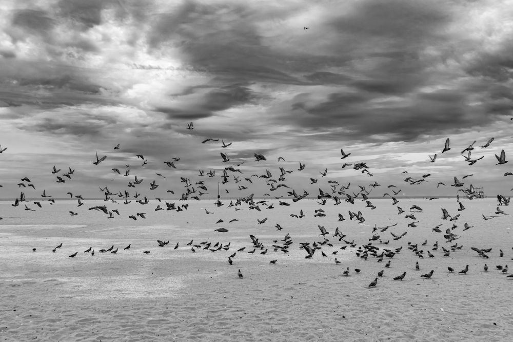 Photograph by Vinoth