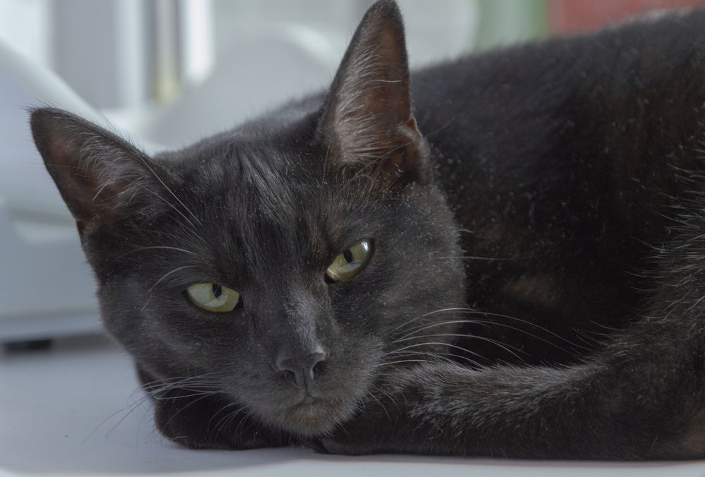 Photograph by Светлана Мельник