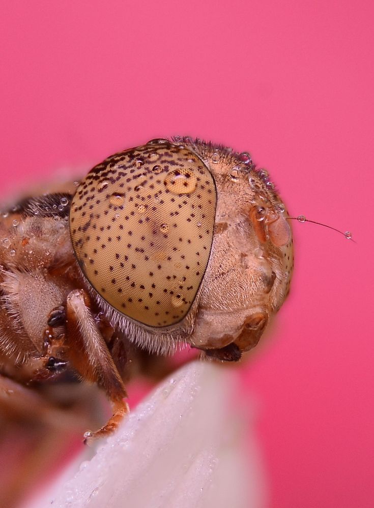 Photograph by Kasun Wickramasinghe