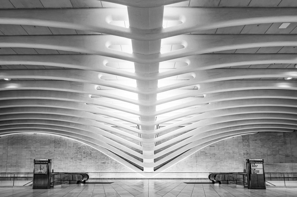 Photograph by Fabien Sans