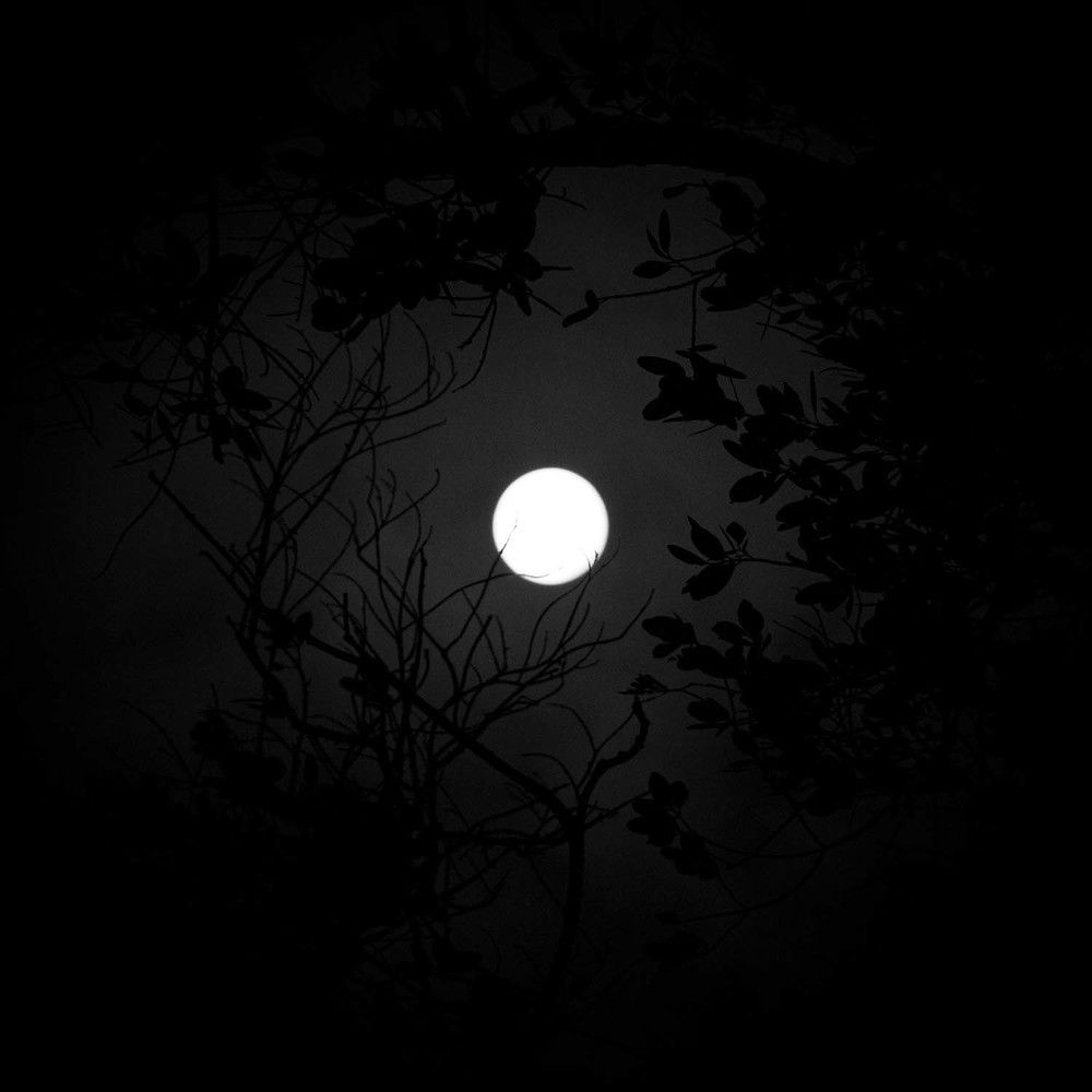 Photograph by Rafael Pupo