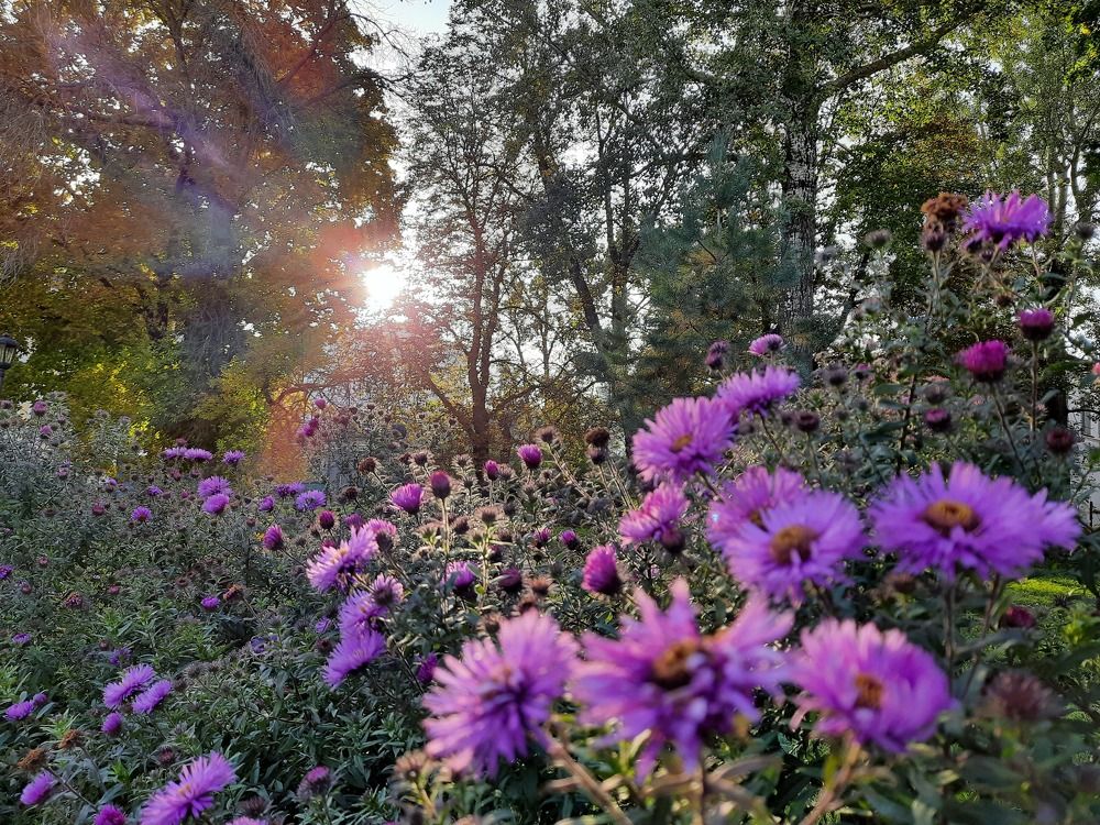 Photograph by Анжелика Гарина