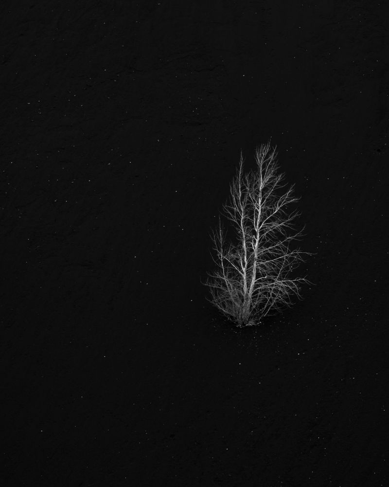 Photograph by Евгений Гецев