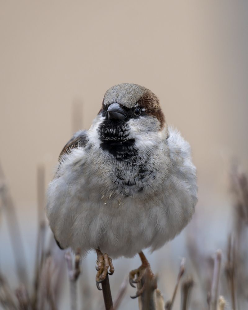 Фотография автора Сергей Затямин