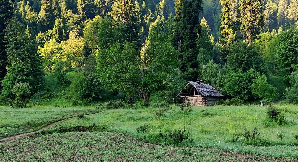 Photograph by Mehmood ul Hassan