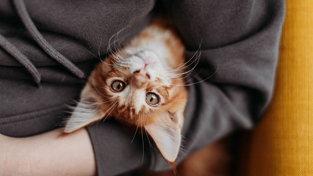 Photograph by Елена Суханкина