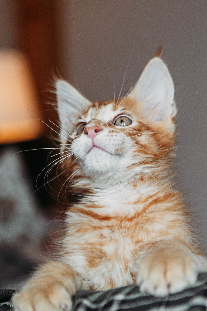 Photograph by Елена Суханкина