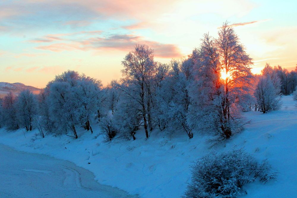 Photograph by Ирина Чечкина