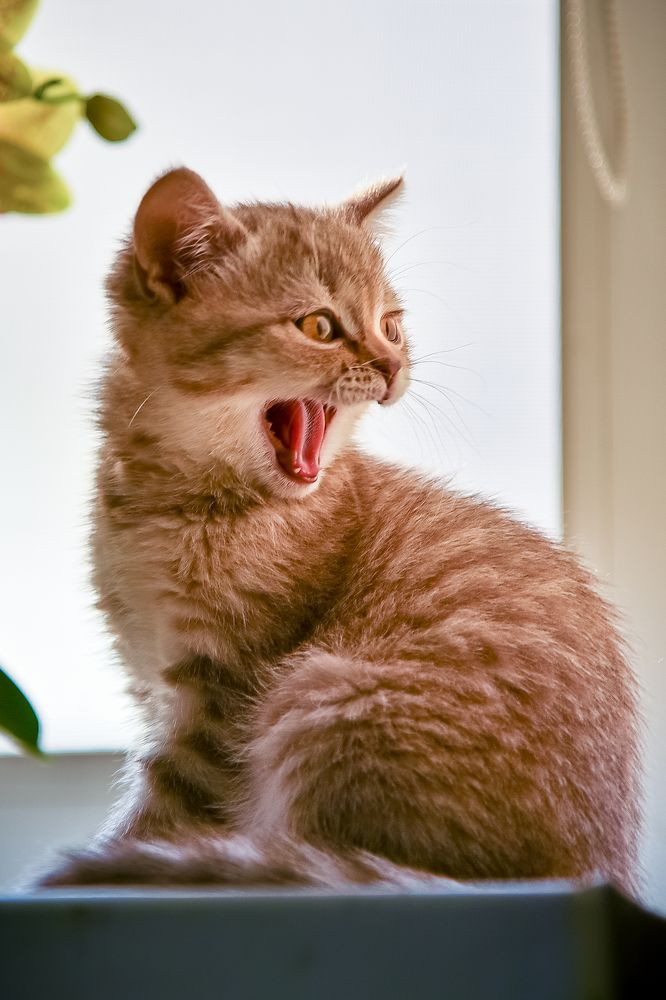 Photograph by Наталья Темная