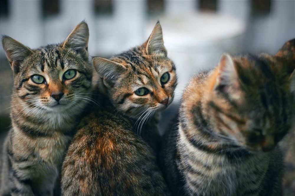 Photograph by Татьяна Исаева