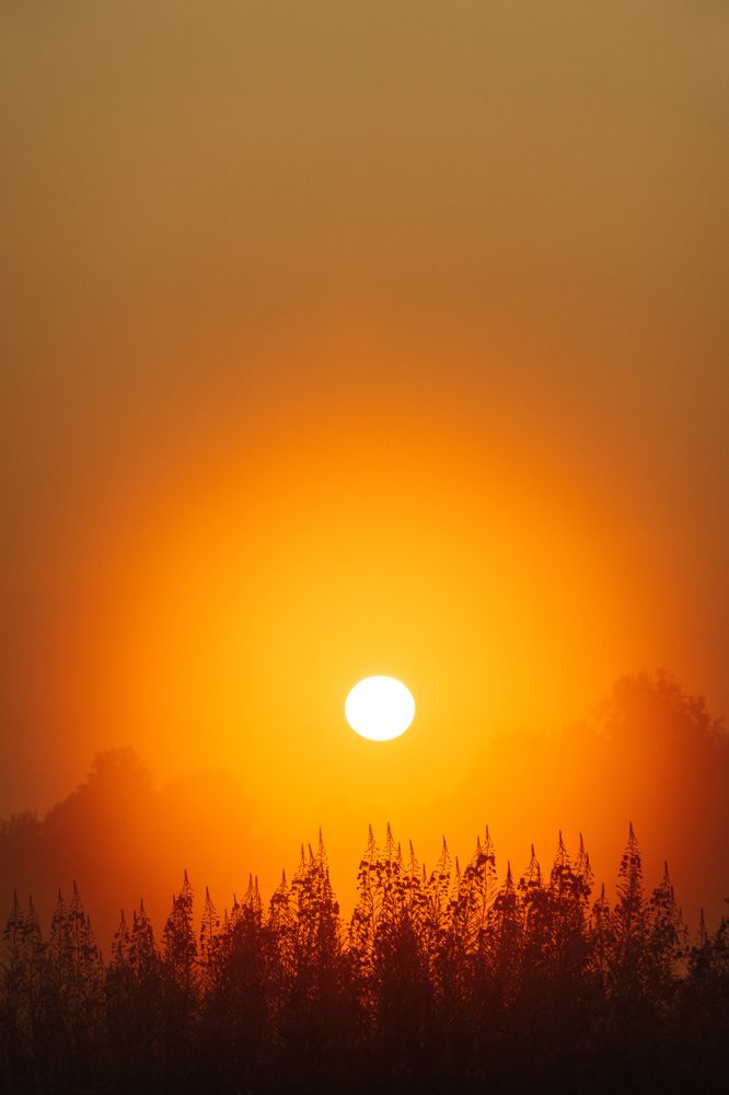 Photograph by Сергей