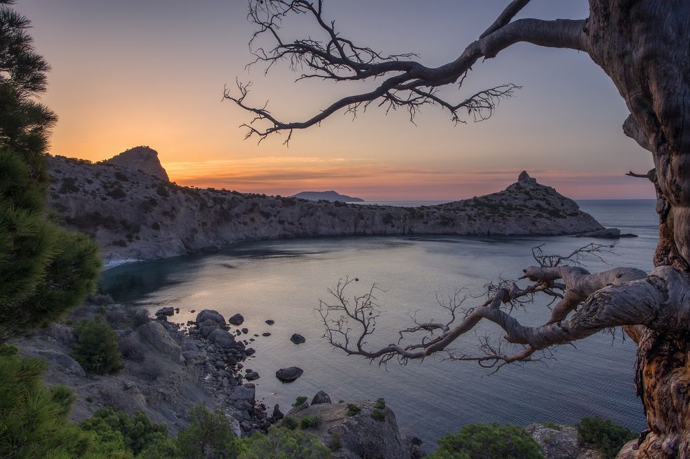 Фотография автора Дмитренко Екатерина