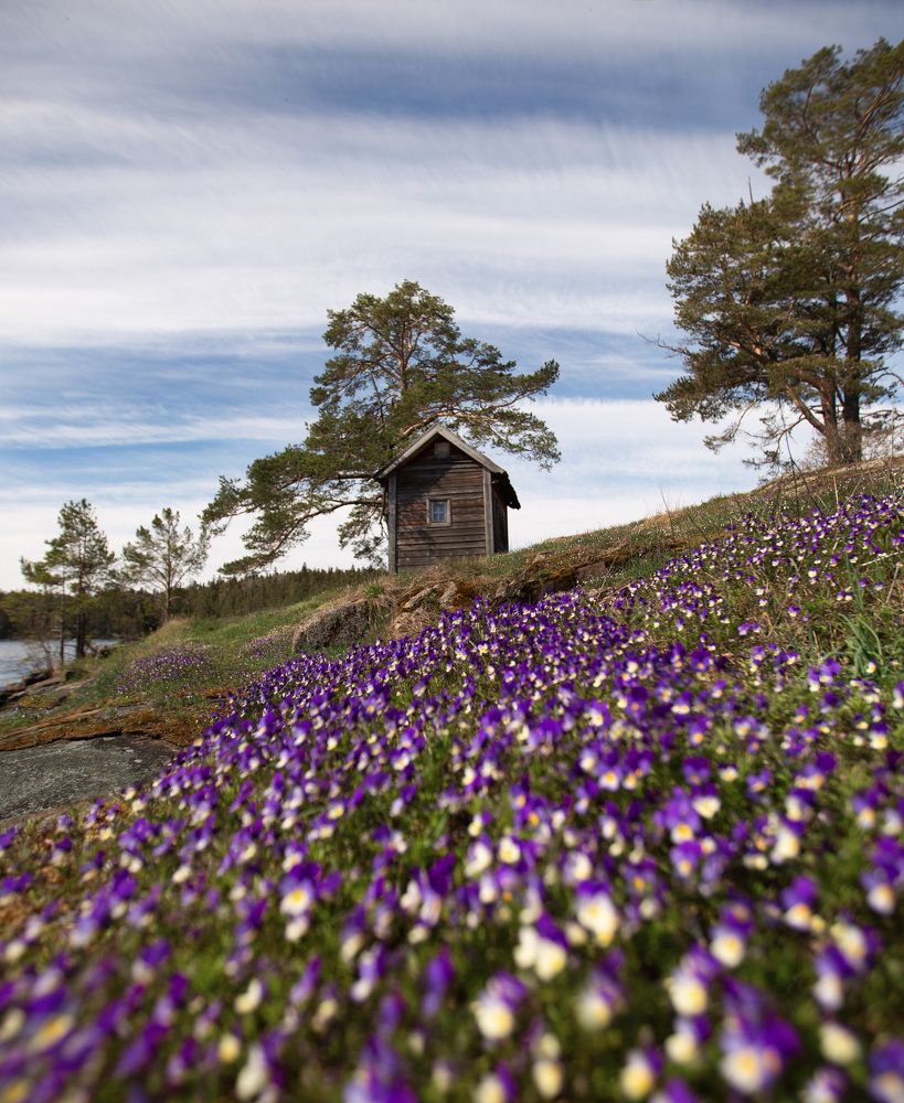 Photograph by Анастасия Моисеенко