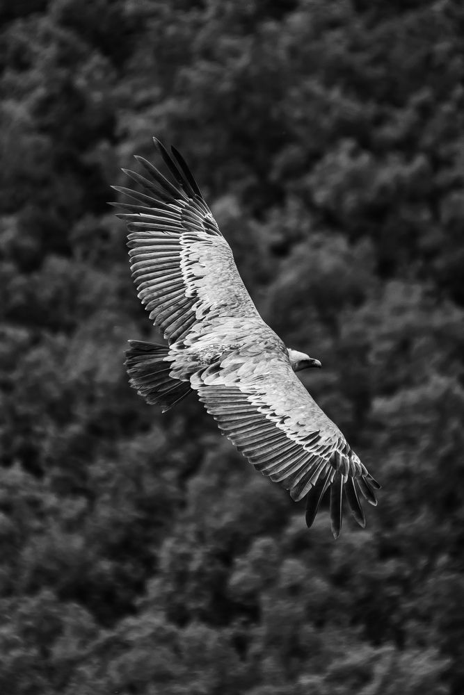 Photograph by Андрей Кривцов