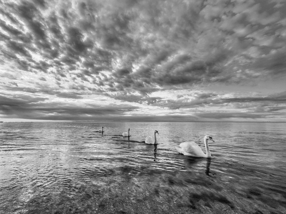 Photograph by Андрей Кривцов