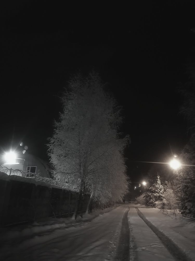 Фотография автора Виталий Дузь