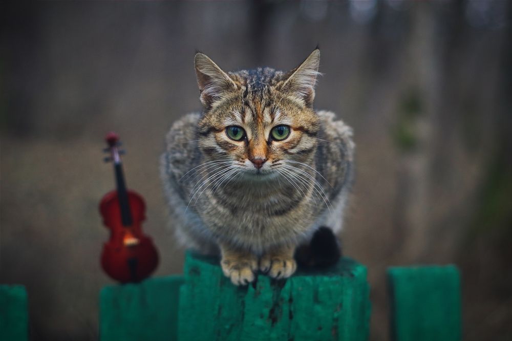 Photograph by Татьяна Исаева