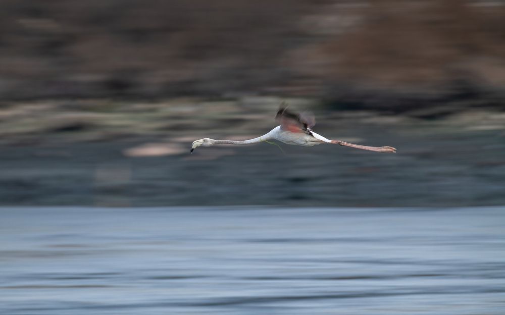 Photograph by Amjad Ali