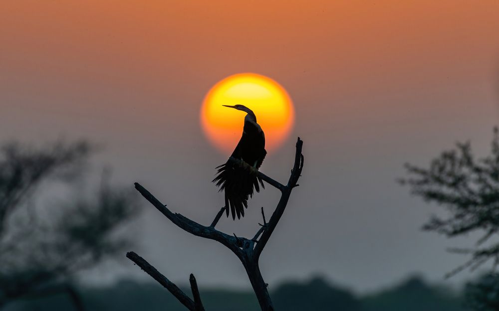 Photograph by Amjad Ali