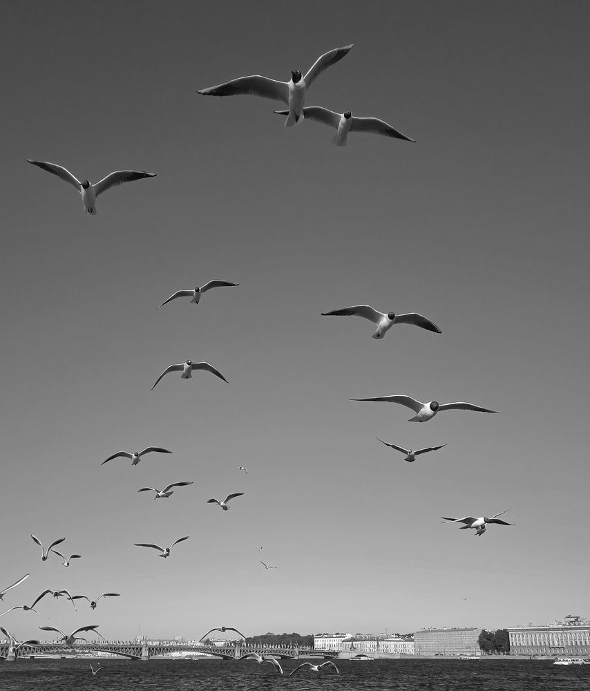 Photograph by Mila Vshivkova