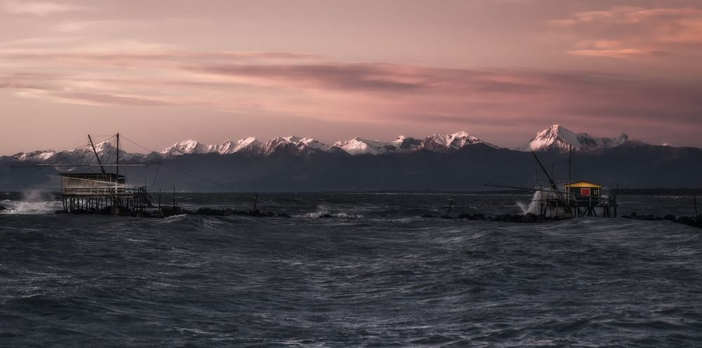Photograph by ANDREA NIGRA