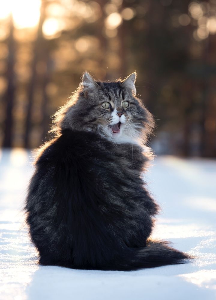 Photograph by Алексей Тихонов