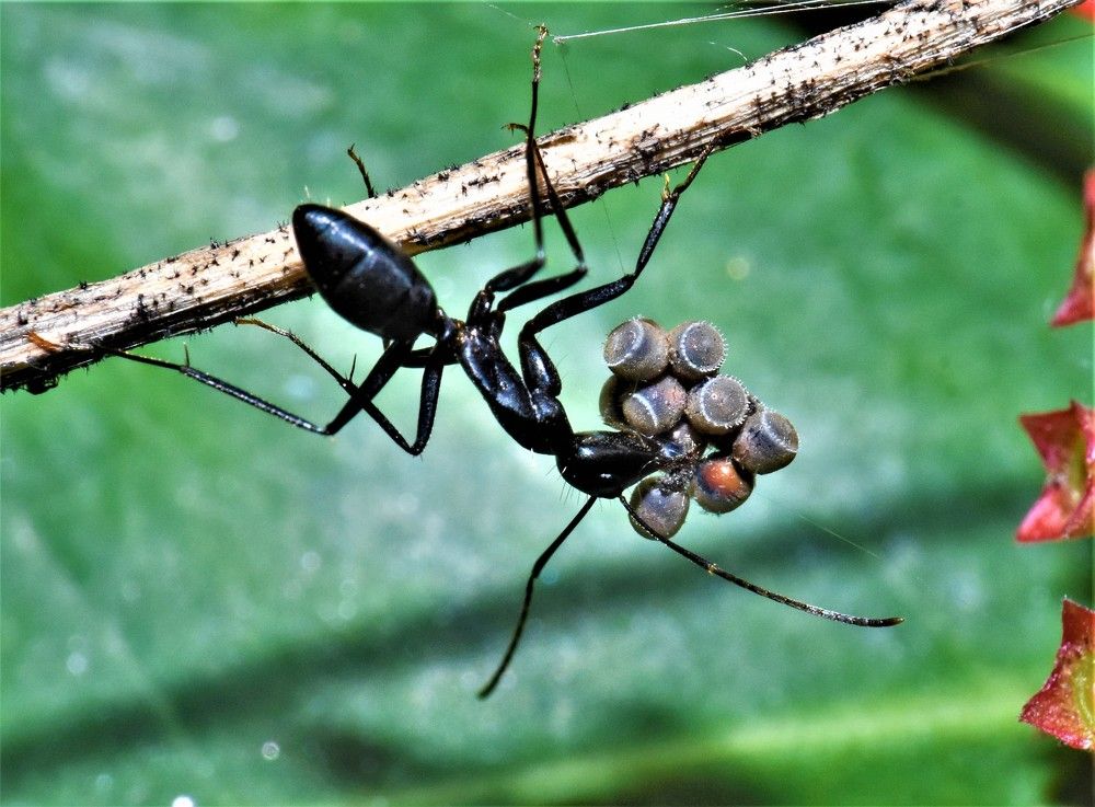 Photograph by Kushal Sharma