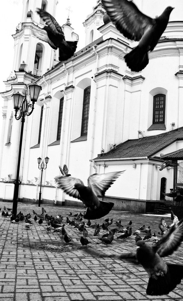 Фотография автора Пищулова Анастасия