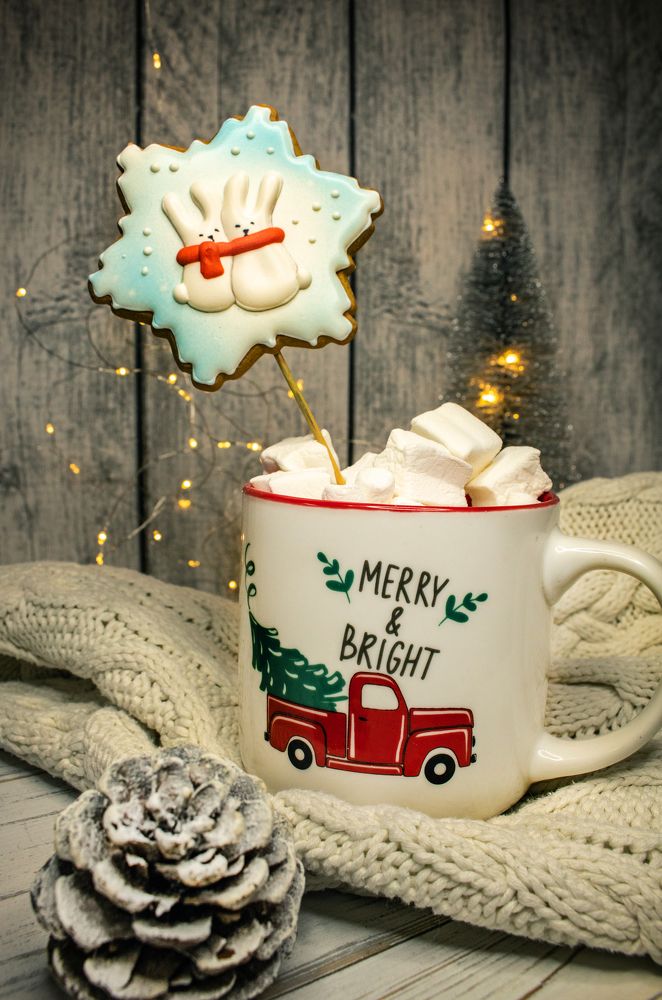 Фотография автора Пищулова Анастасия