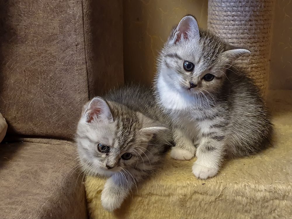 Photograph by Алексей Алексеев