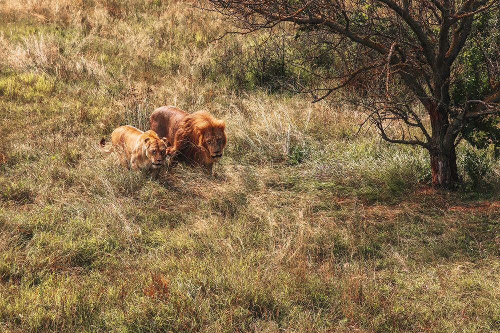 Photograph by Алексей Голубев