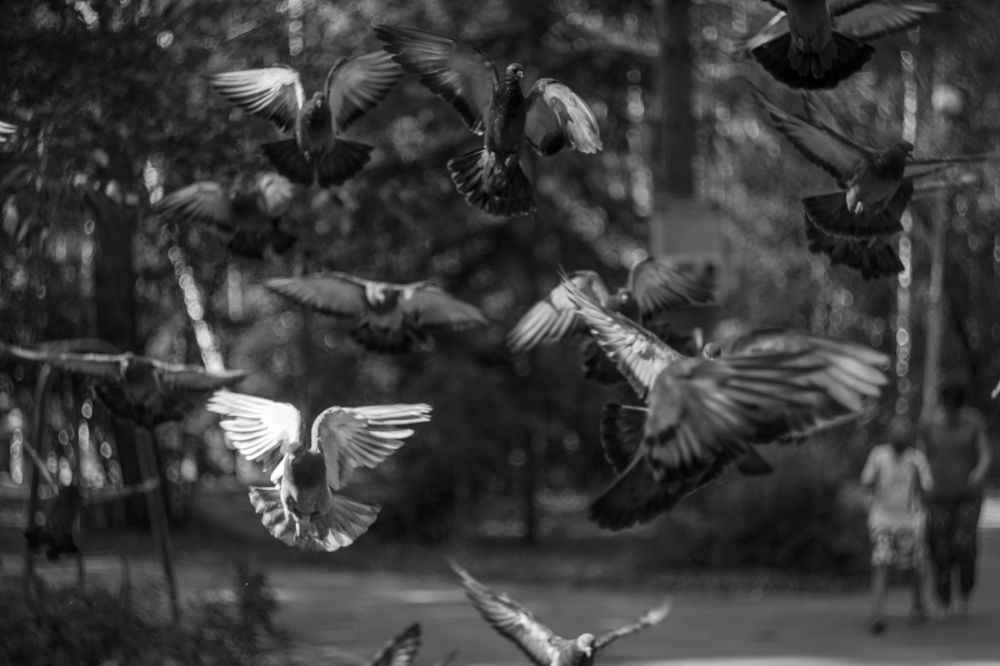 Photograph by Андрей Баталов