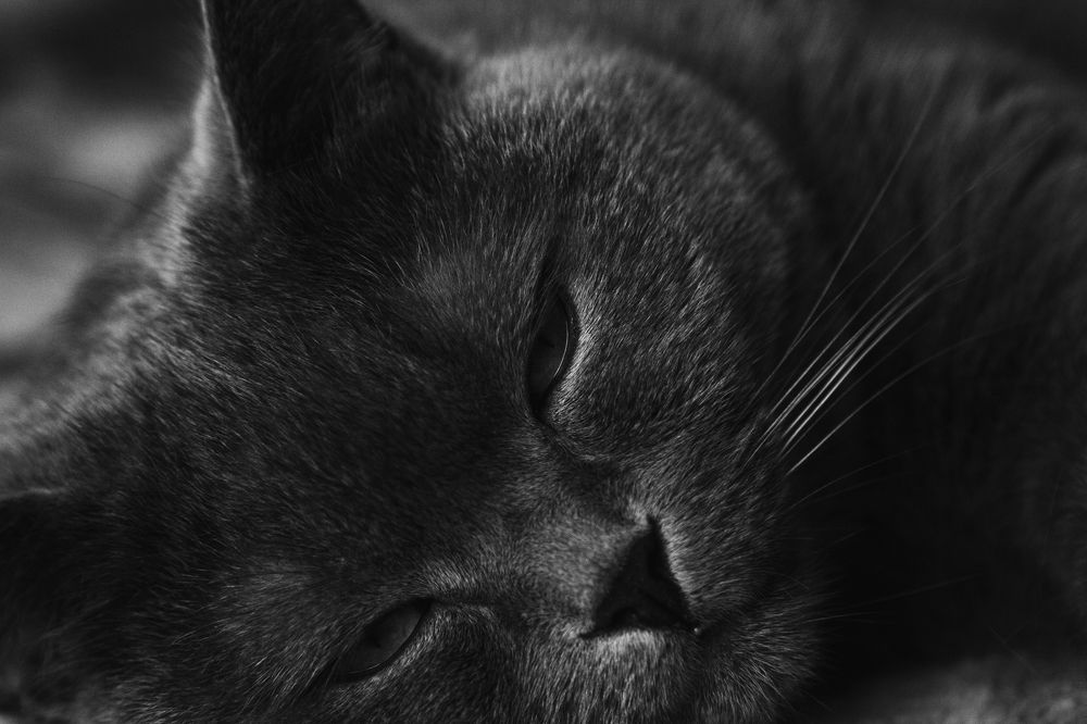 Photograph by Дмитрий Карасев