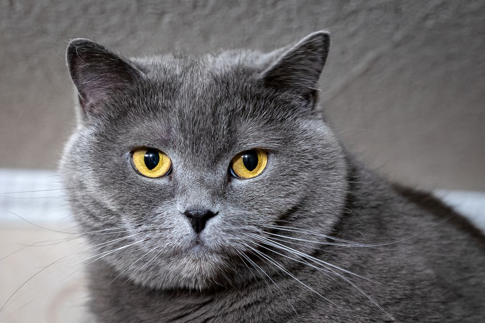 Photograph by Дмитрий Карасев