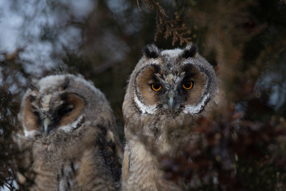 Photograph by Николай Абрамов