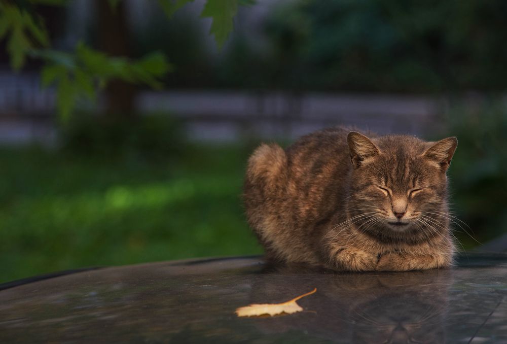 Photograph by Kirill Yakowlew