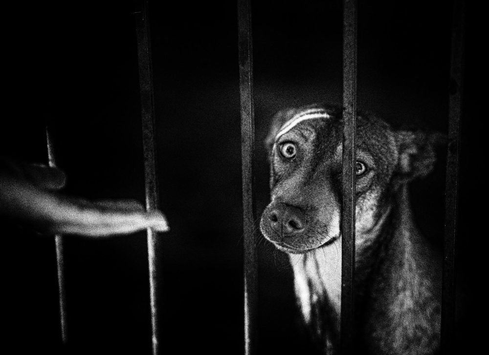 Фотография автора 