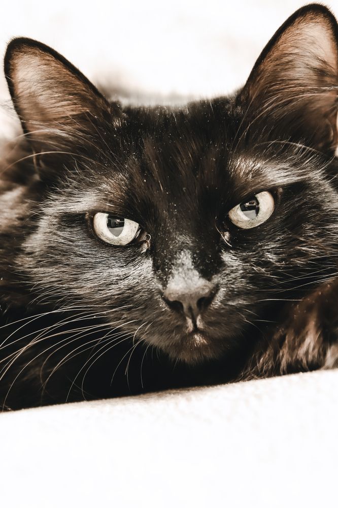 Photograph by Алексей Голубев