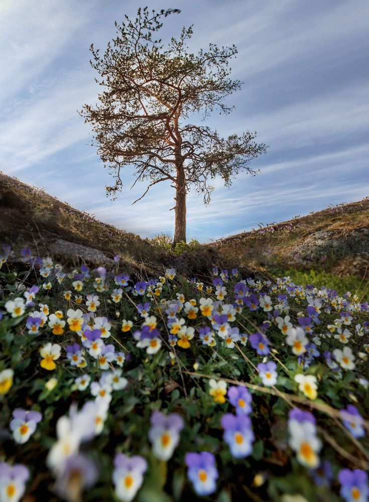 Photograph by Анастасия Моисеенко