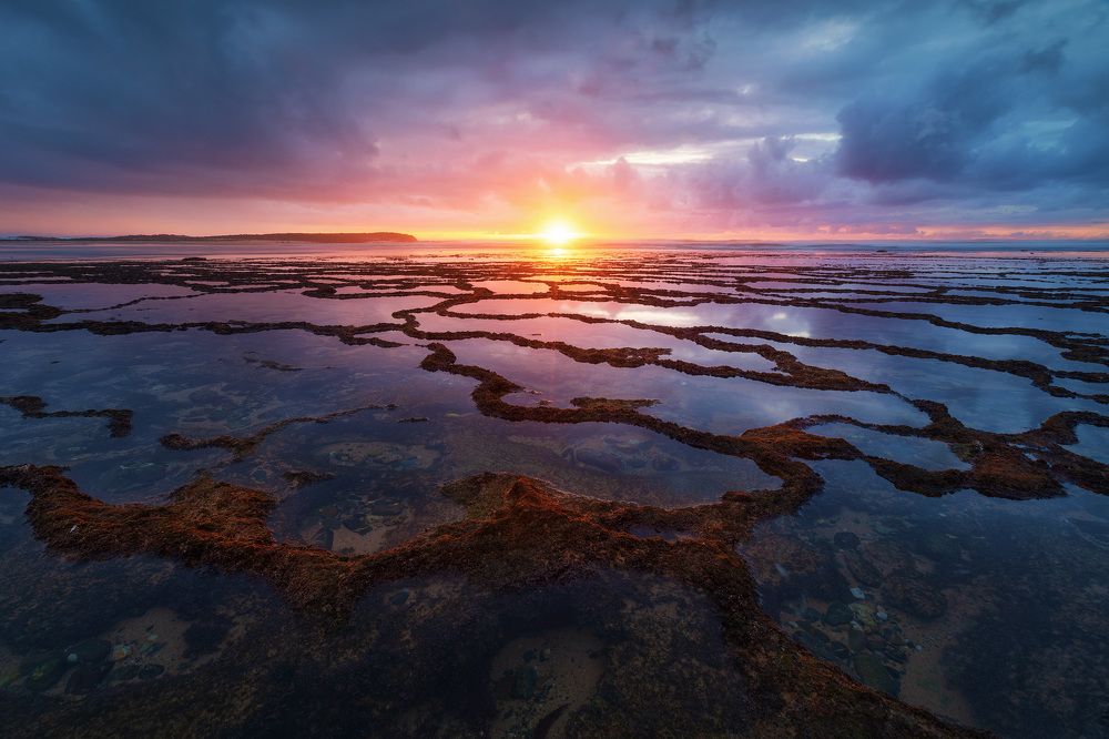 Photograph by Tomás Sánchez