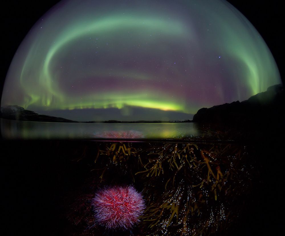 Photograph by Никифоров Егор