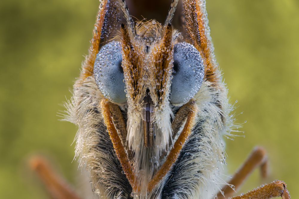 Photograph by Sara Jazbar