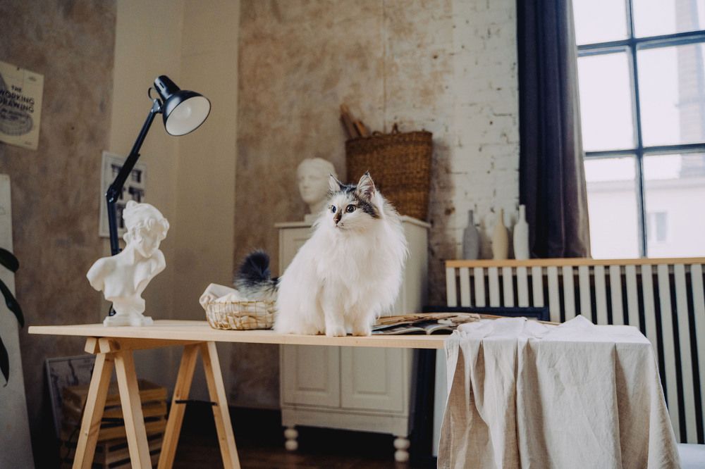 Фотография автора YuliaBets